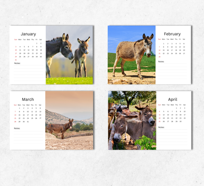 Donkey Desk Calendar 2027-2028