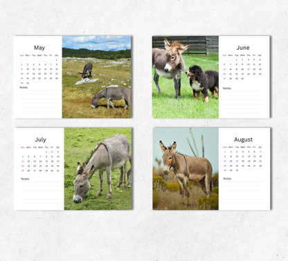 Donkey Desk Calendar 2027-2028