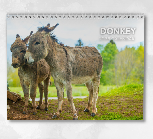 Donkey Calendar 2026