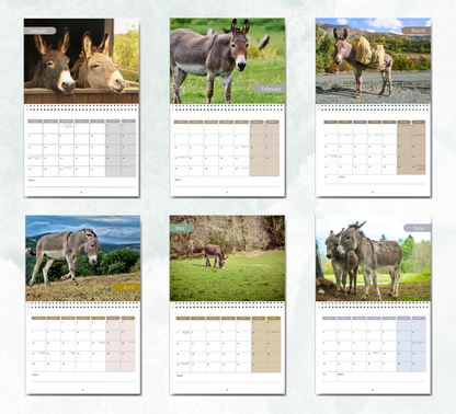 Donkey Calendar 2026