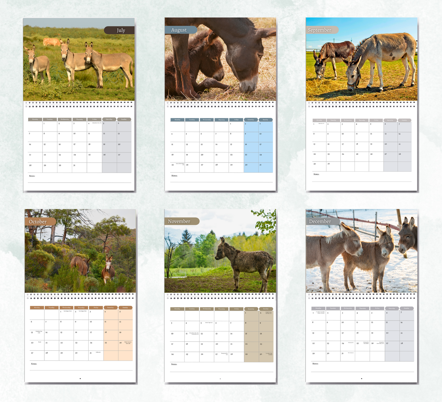 Donkey Calendar 2026