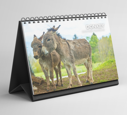 Donkey Desk Calendar 2026-2027