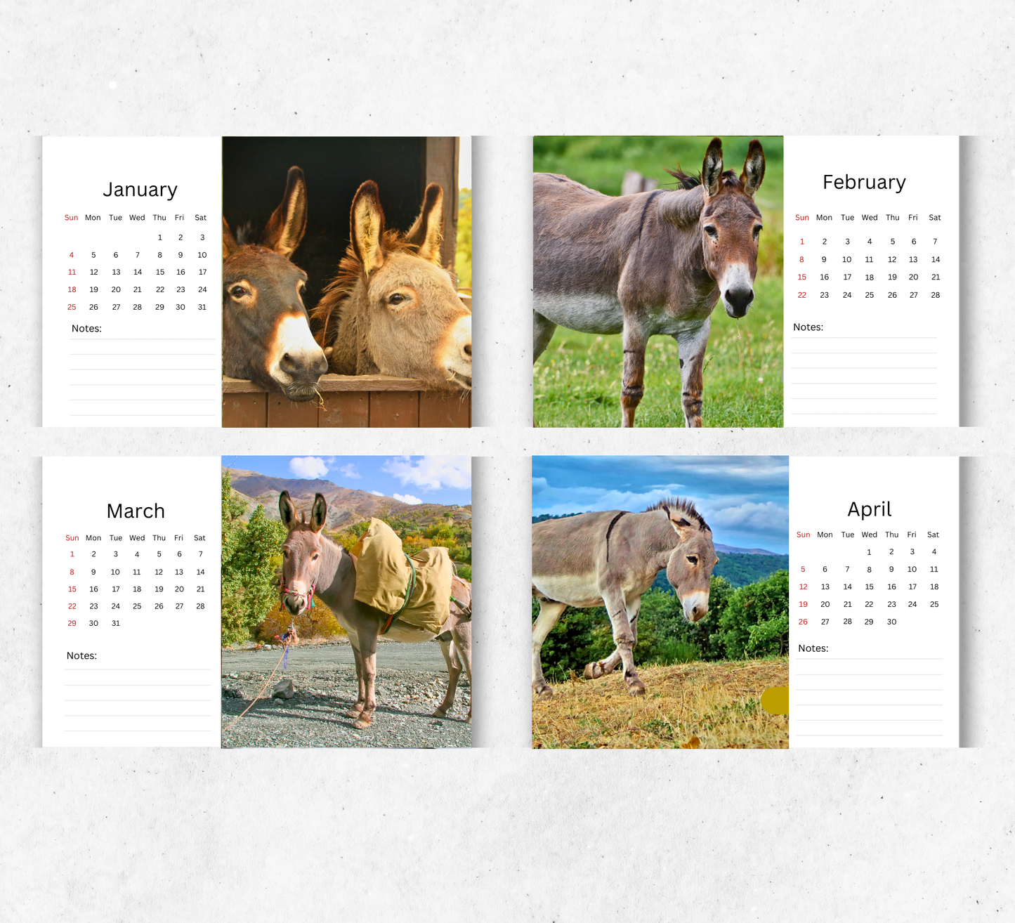 Donkey Desk Calendar 2026-2027