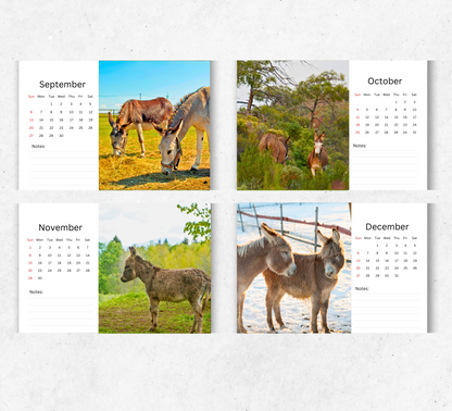 Donkey Desk Calendar 2026-2027