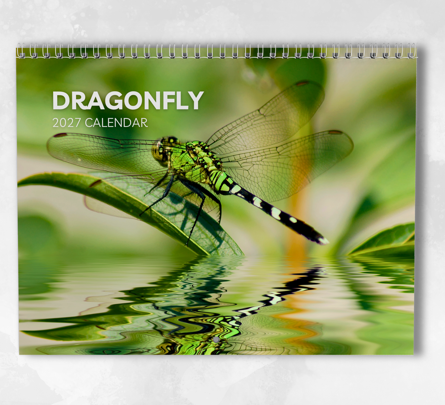 Dragonfly Calendar 2027