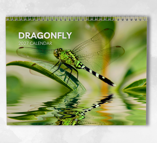 Dragonfly Calendar 2027