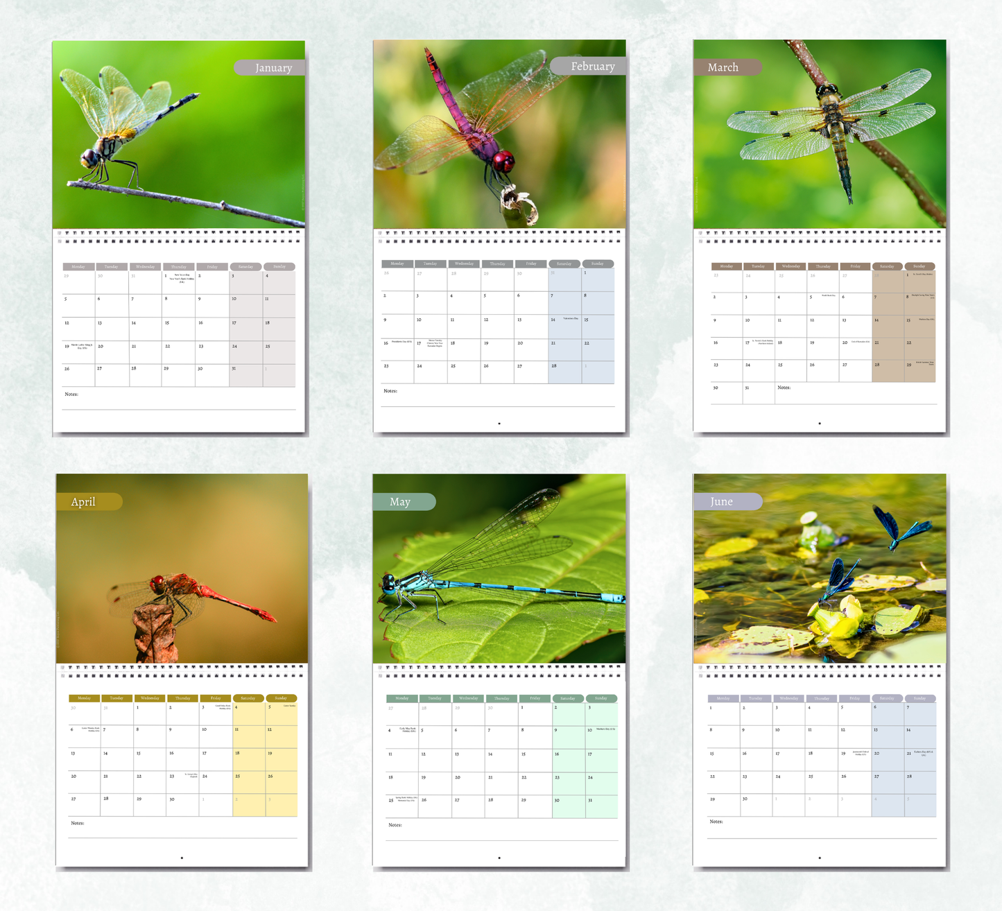 Dragonfly Calendar 2027