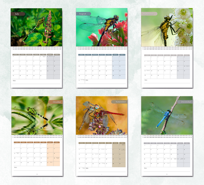 Dragonfly Calendar 2027