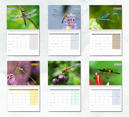 Dragonfly Calendar 2026