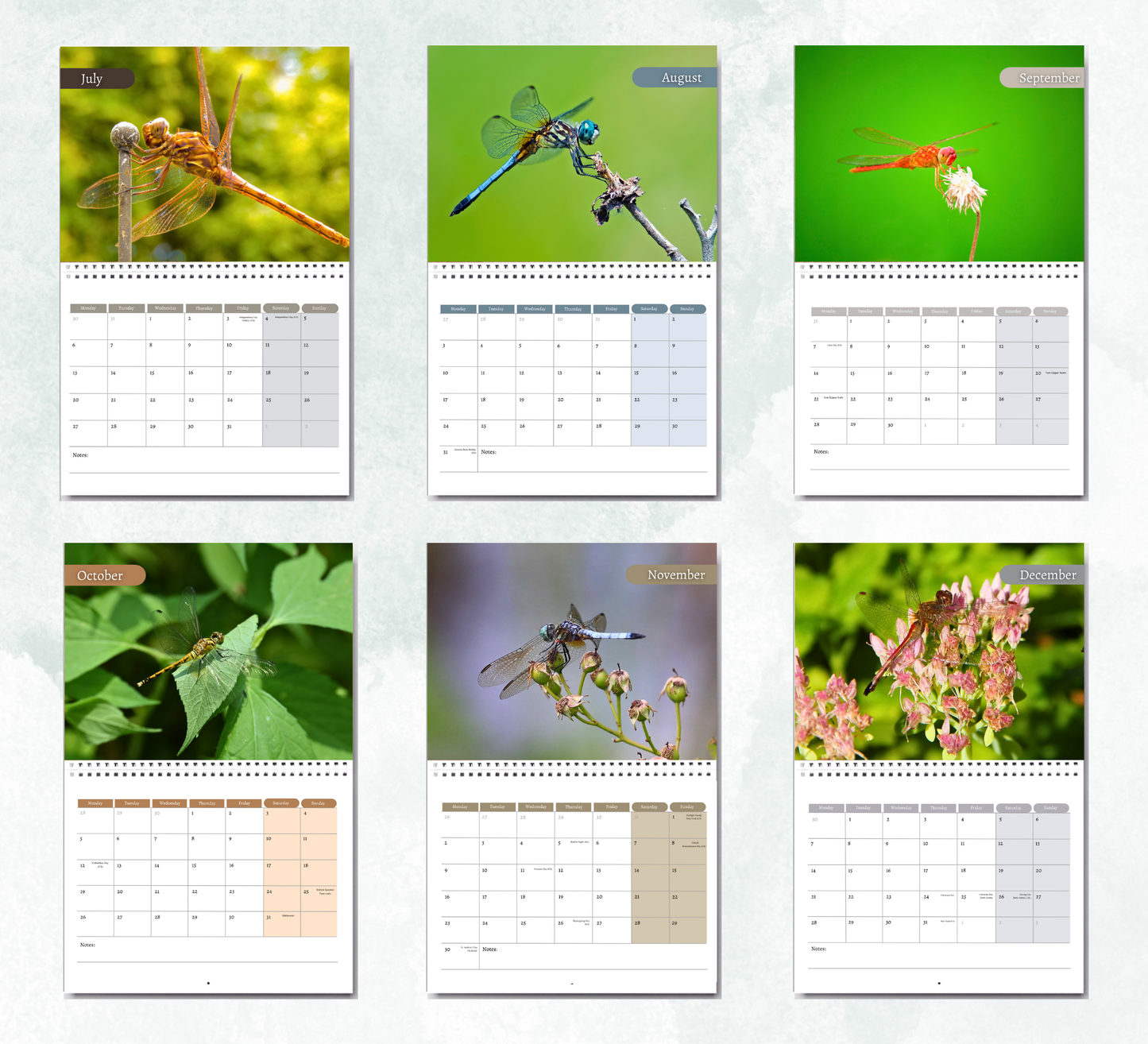 Dragonfly Calendar 2026