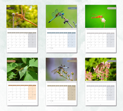 Dragonfly Calendar 2026