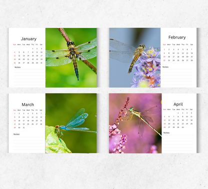 Dragonfly Desk Calendar 2026-2027
