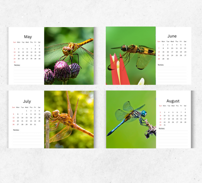 Dragonfly Desk Calendar 2026-2027