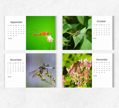 Dragonfly Desk Calendar 2026-2027