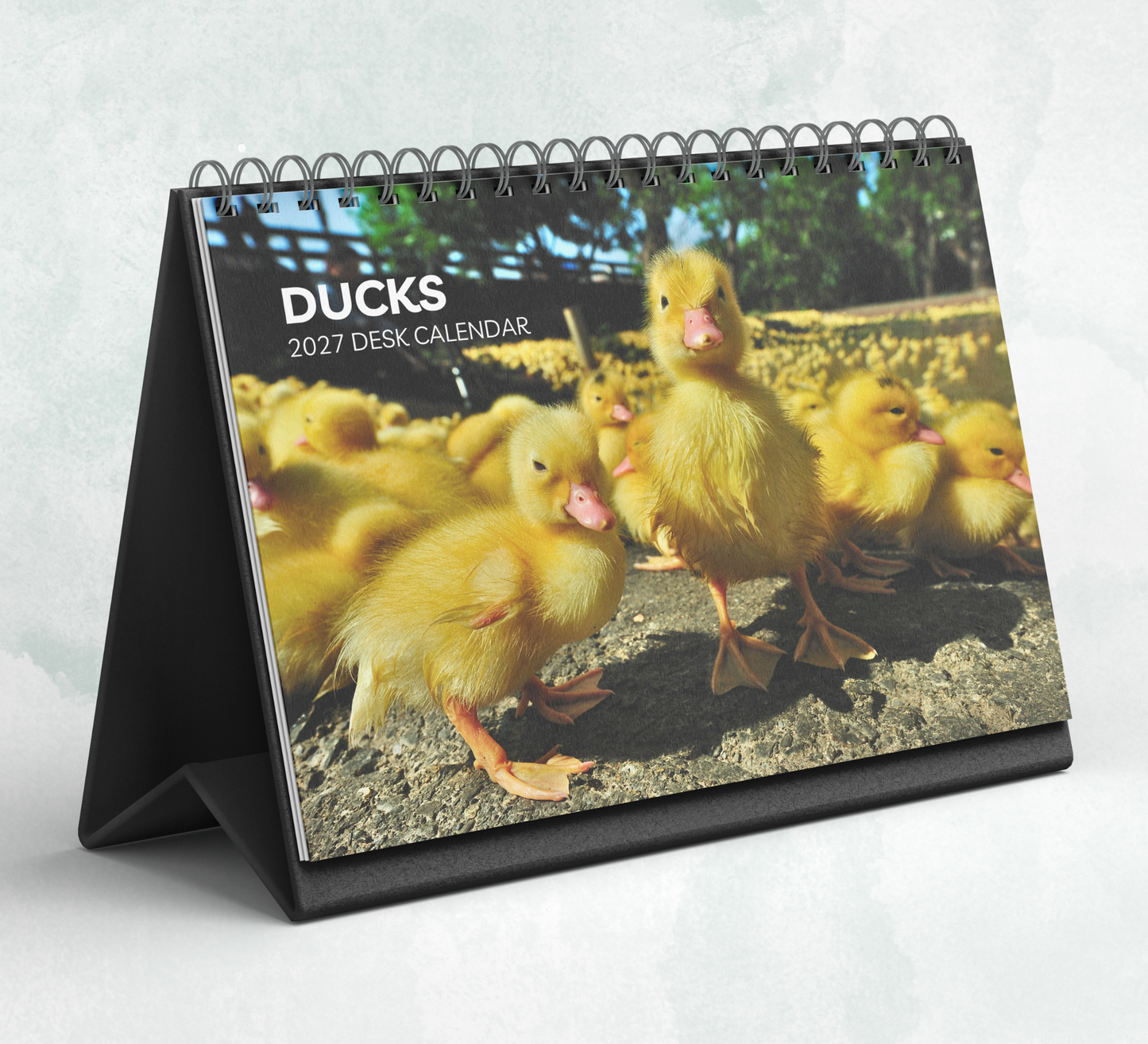 Duck Desk Calendar 2027-2028
