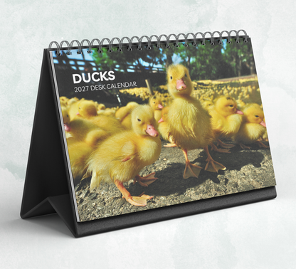 Duck Desk Calendar 2027-2028