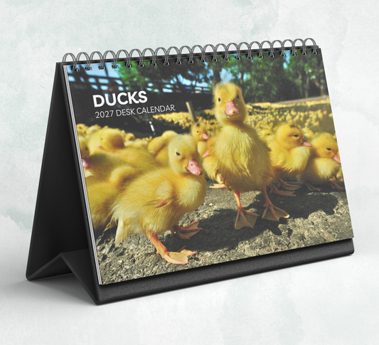 Duck Desk Calendar 2027-2028