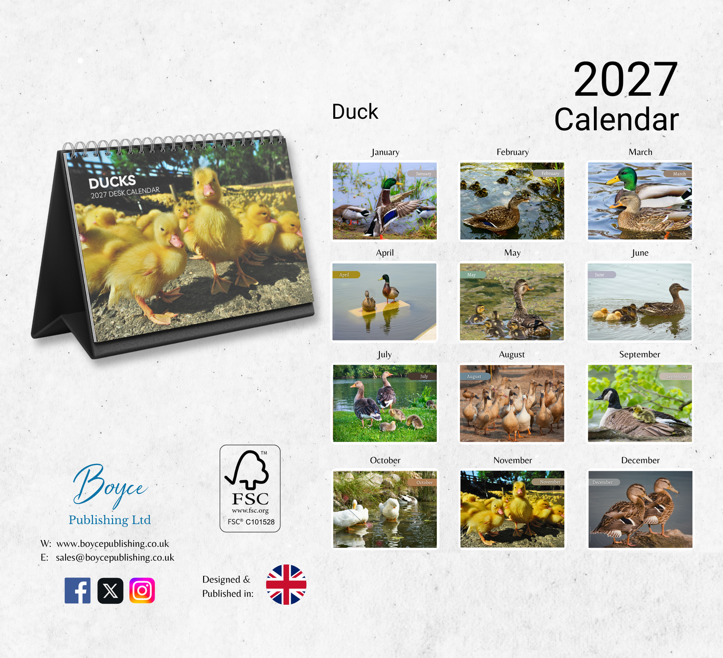 Duck Desk Calendar 2027-2028