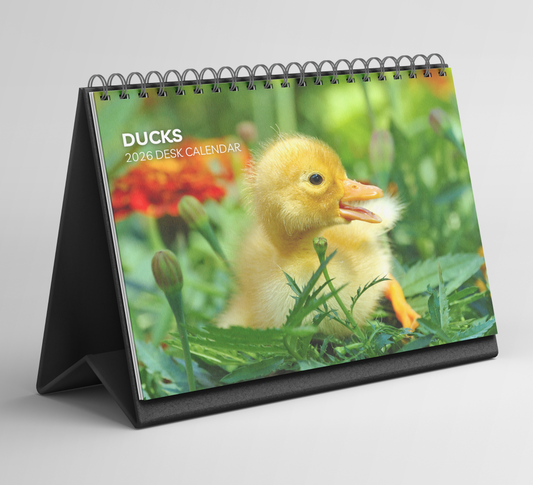 Duck Desk Calendar 2026-2027