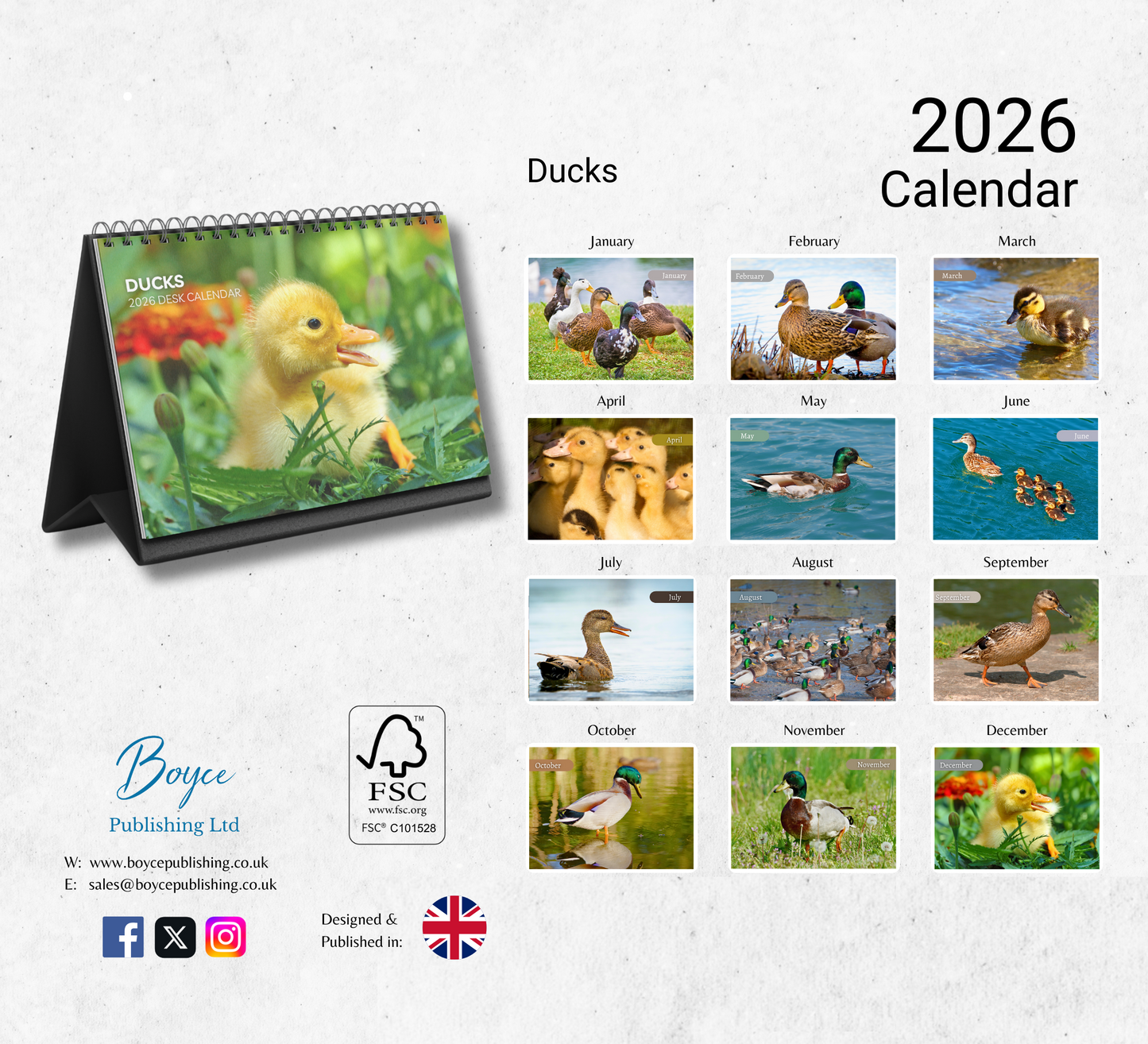 Duck Desk Calendar 2026-2027