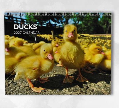 Duck Calendar 2027