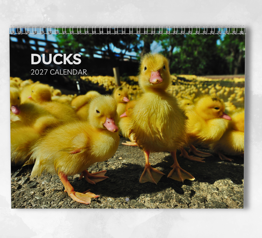 Duck Calendar 2027