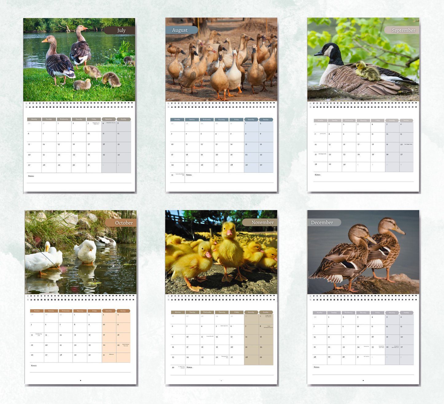 Duck Calendar 2027