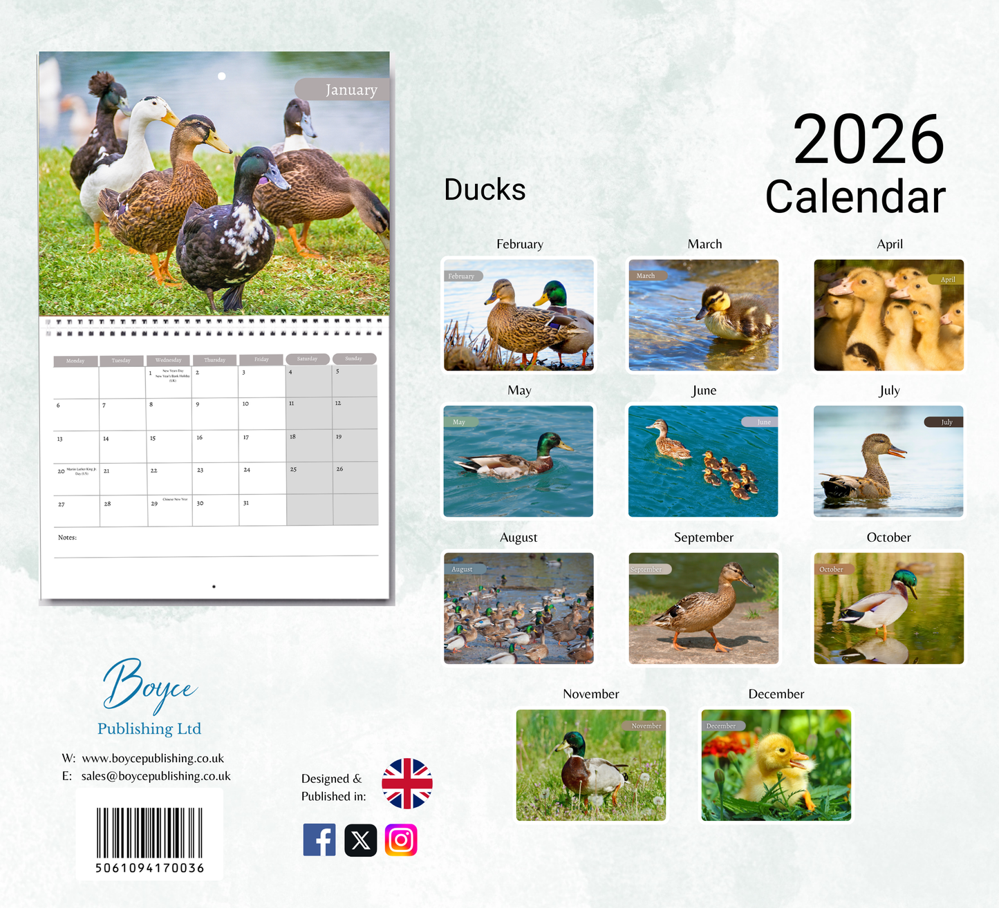 Duck Calendar 2026