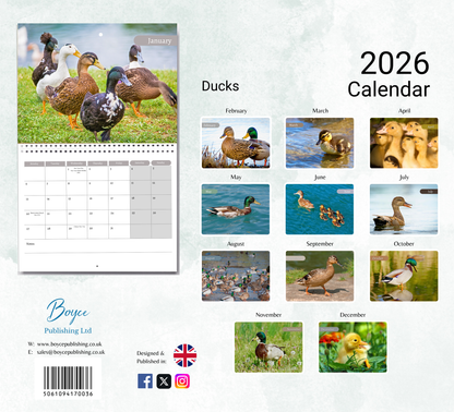 Duck Calendar 2026