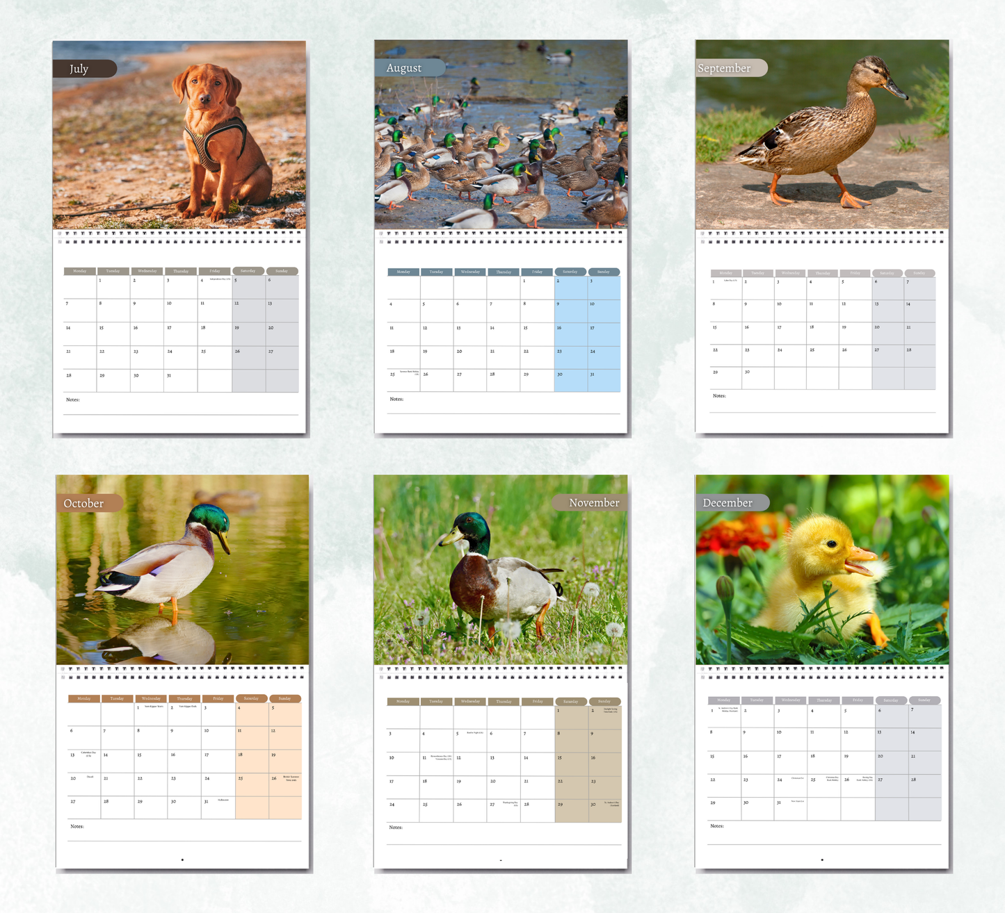 Duck Calendar 2026