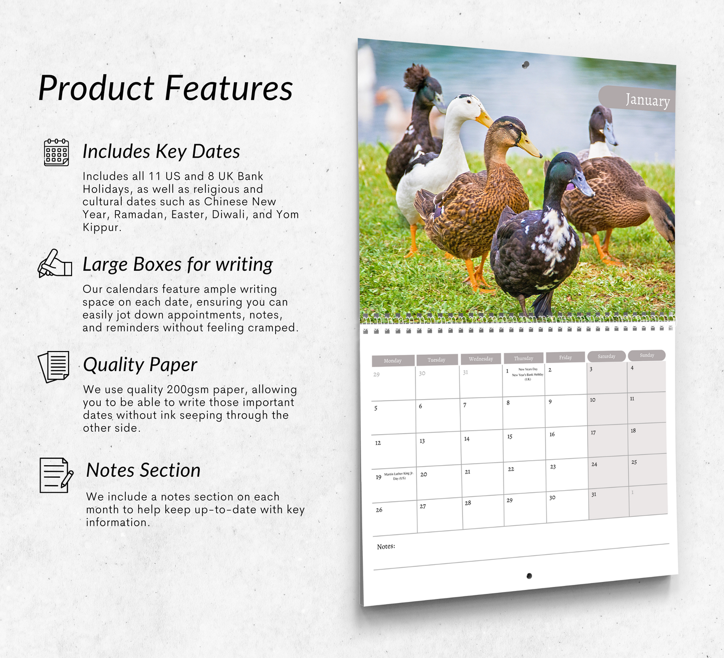 Duck Calendar 2026