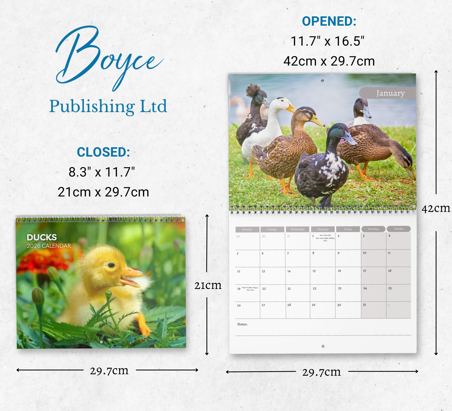Duck Calendar 2026