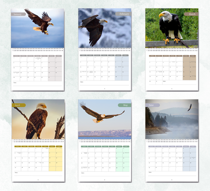 Eagle Calendar 2027