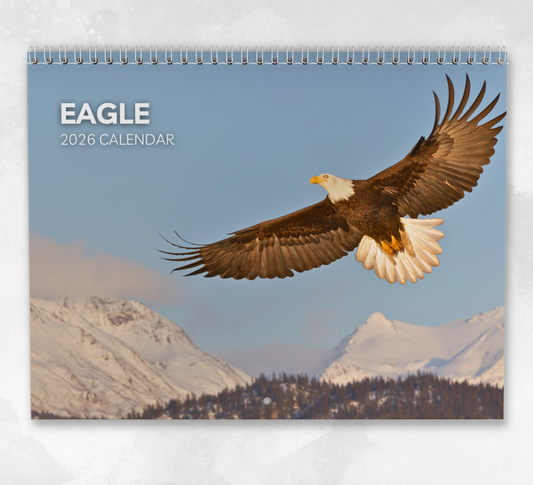 Eagle Calendar 2026