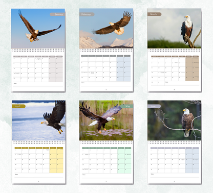 Eagle Calendar 2026