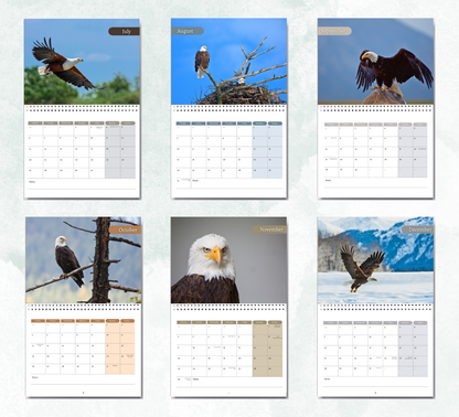 Eagle Calendar 2026