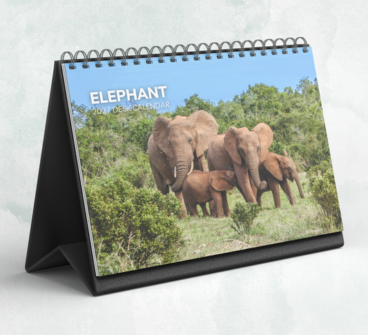 Elephant Desk Calendar 2027-2028