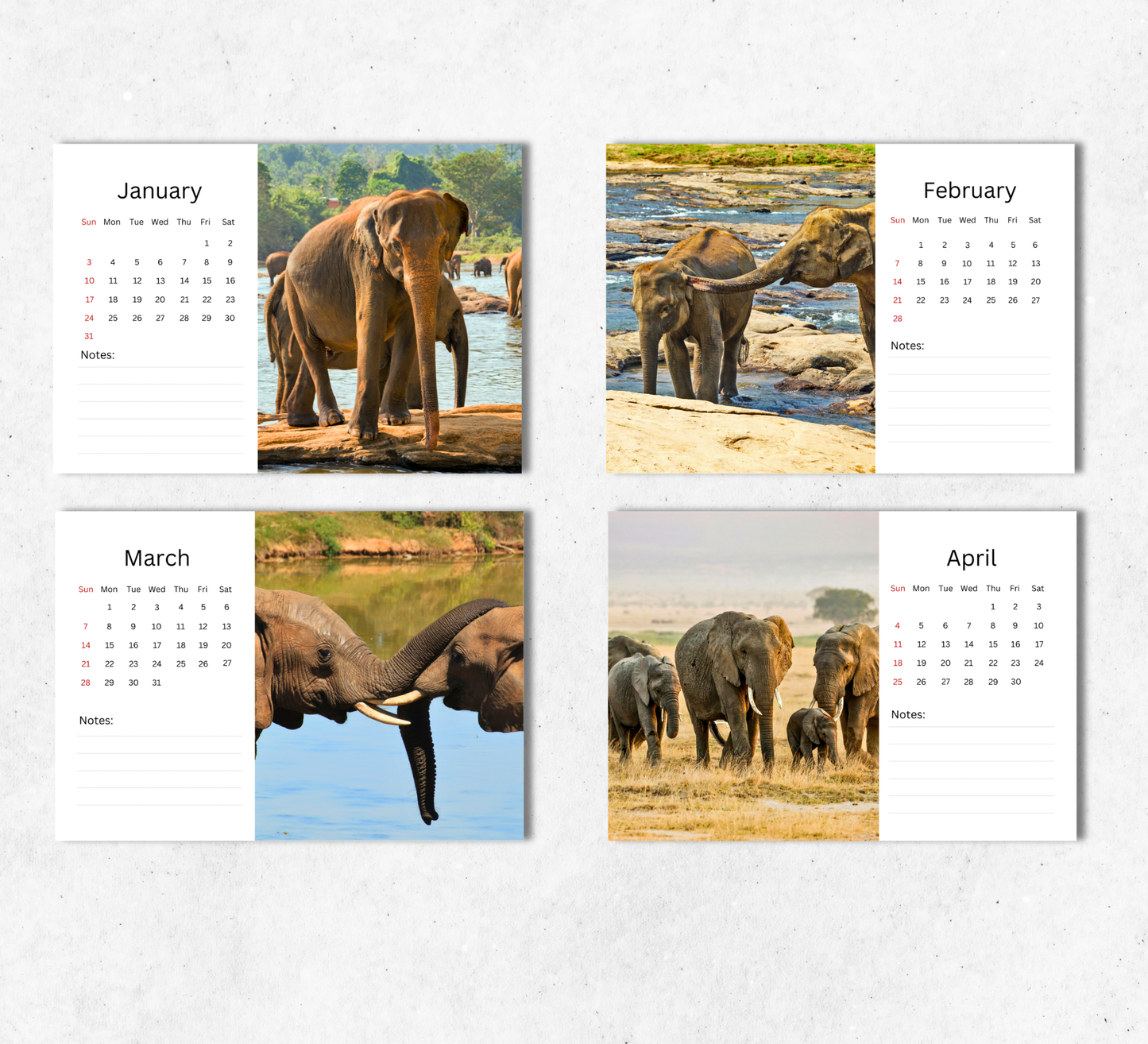 Elephant Desk Calendar 2027-2028