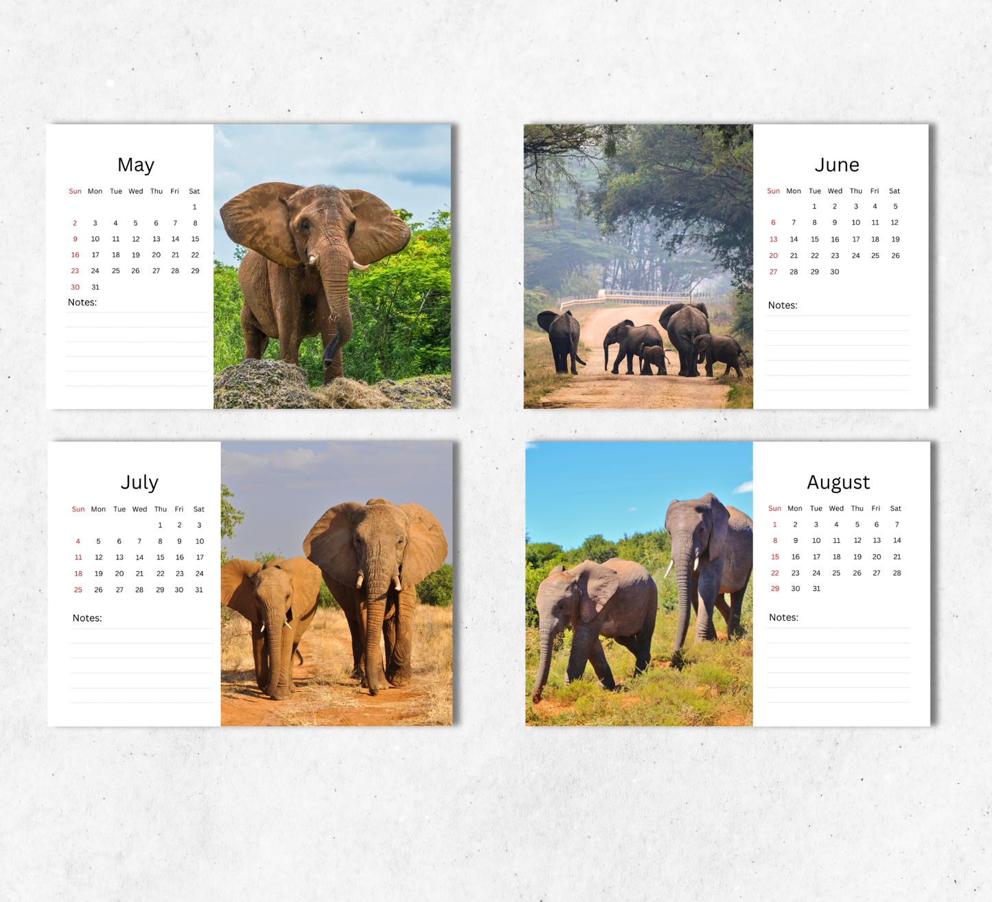 Elephant Desk Calendar 2027-2028
