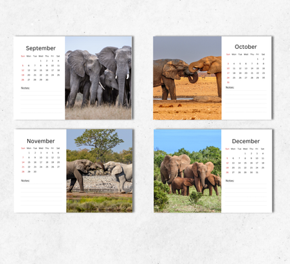 Elephant Desk Calendar 2027-2028