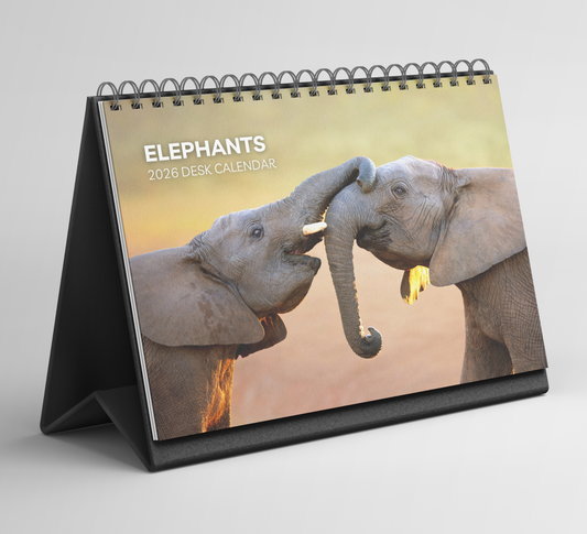 Elephant Desk Calendar 2026-2027