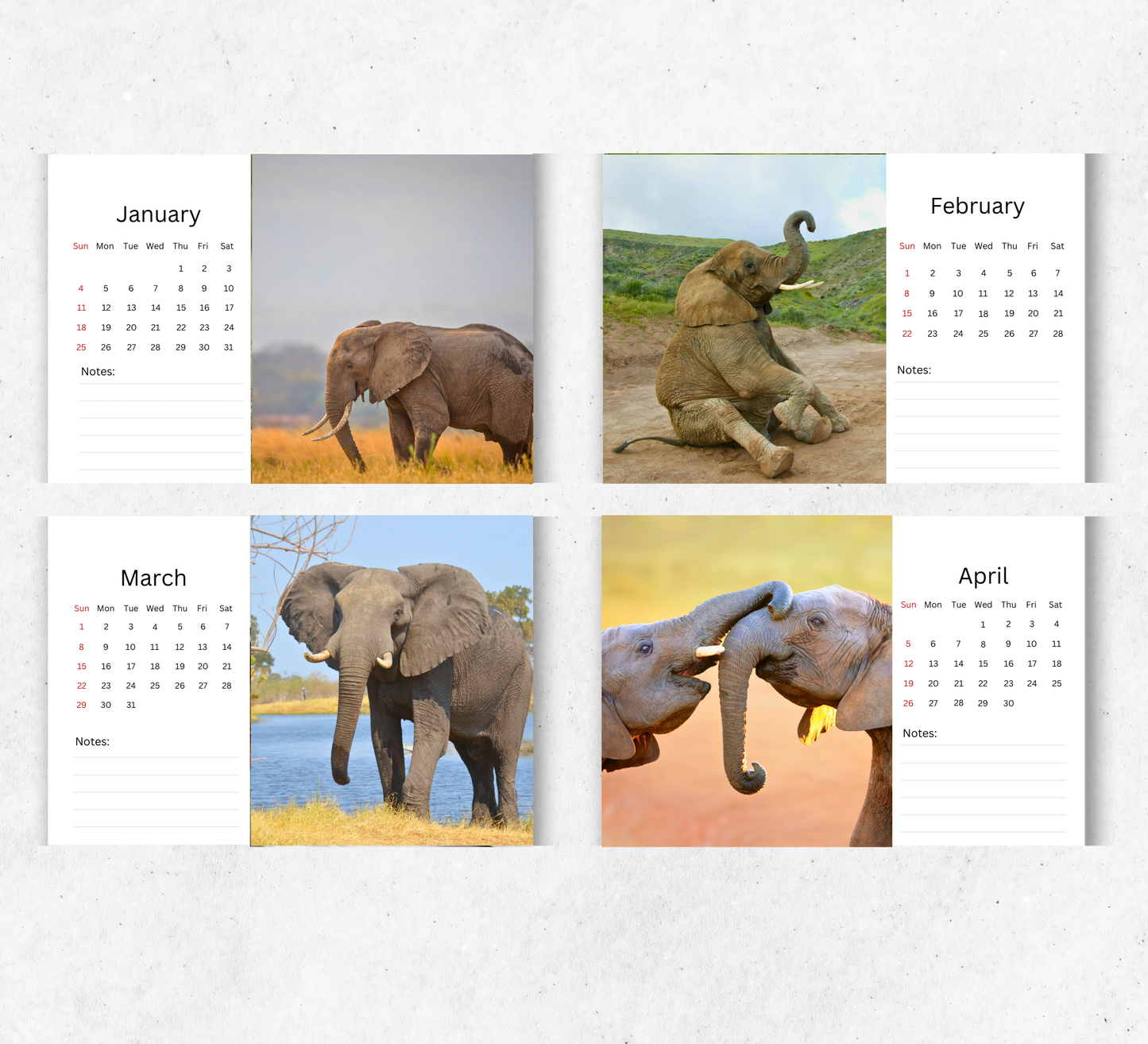 Elephant Desk Calendar 2026-2027