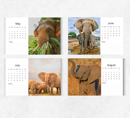 Elephant Desk Calendar 2026-2027