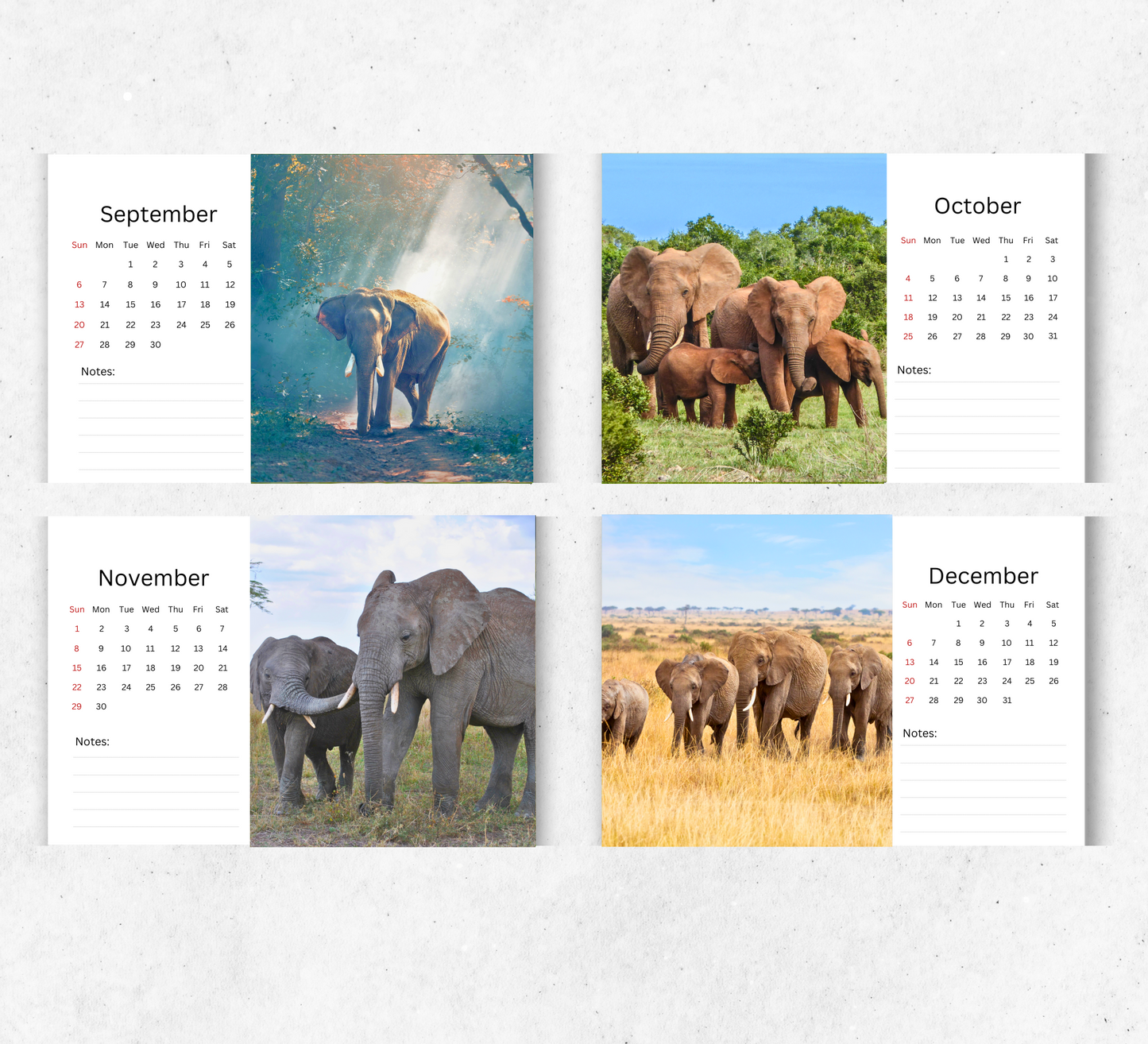 Elephant Desk Calendar 2026-2027
