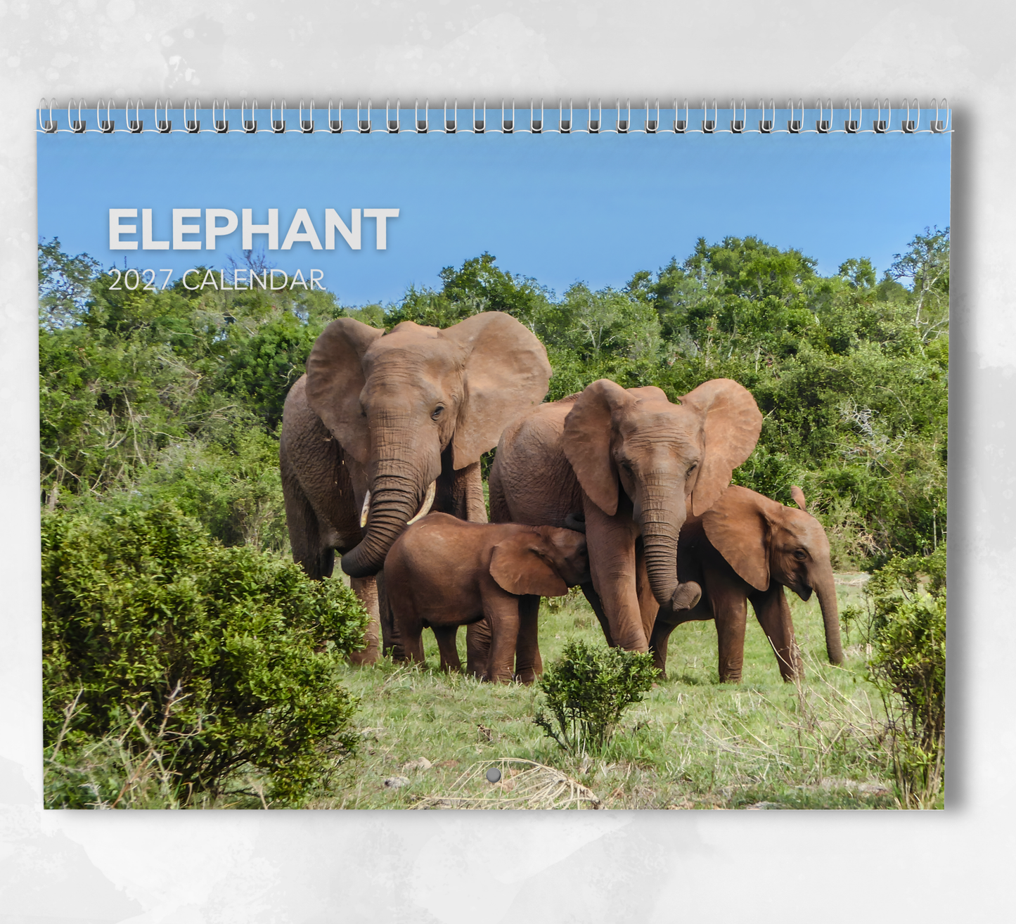 Elephant Calendar 2027