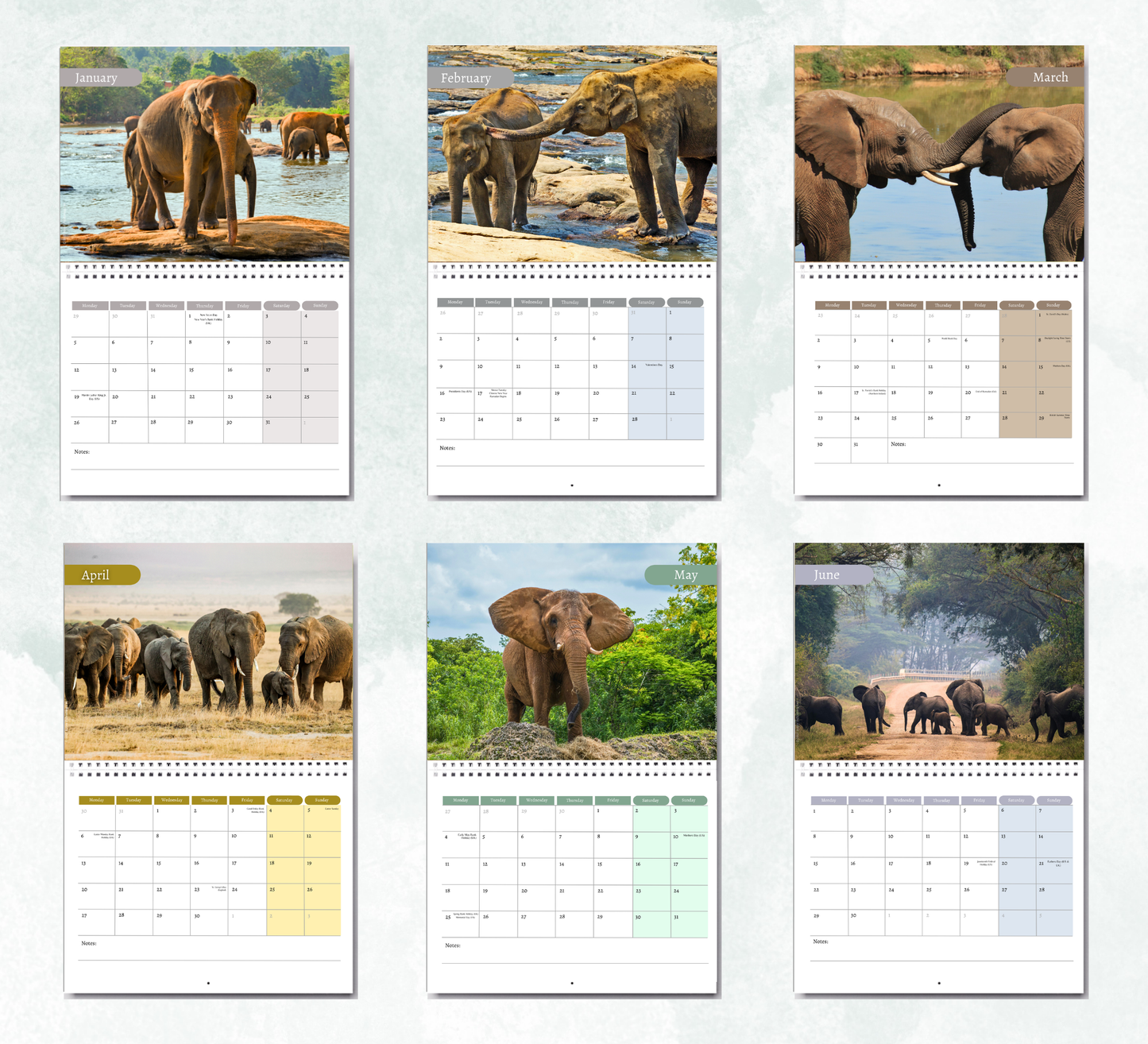 Elephant Calendar 2027