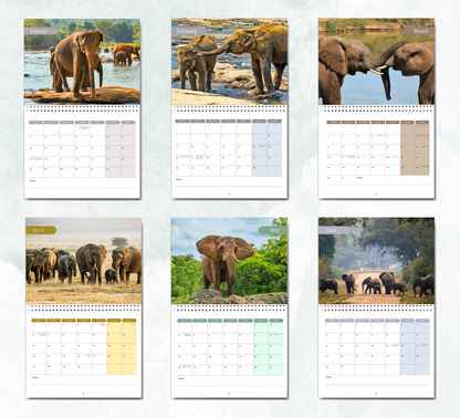 Elephant Calendar 2027