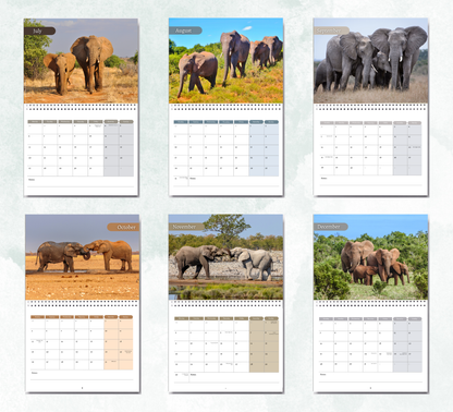 Elephant Calendar 2027