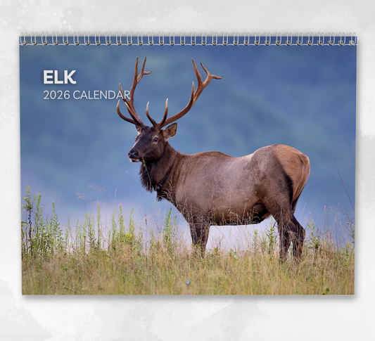 Elk Calendar 2026
