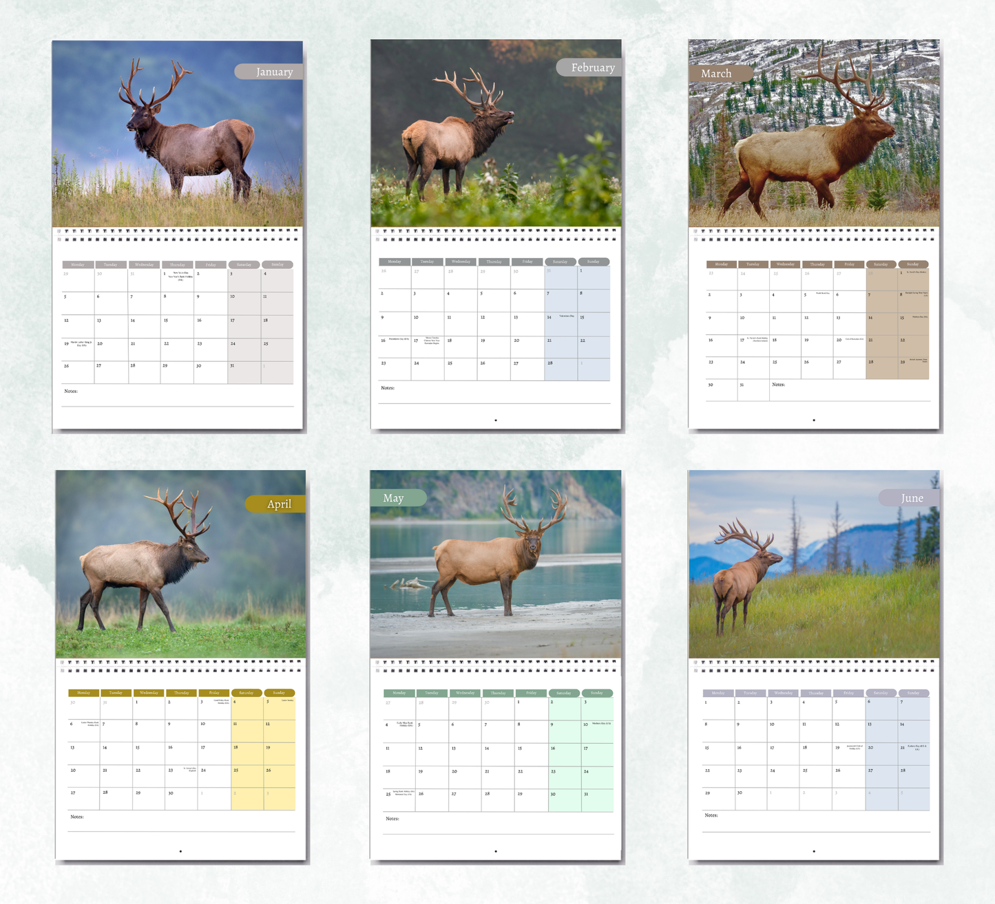 Elk Calendar 2026